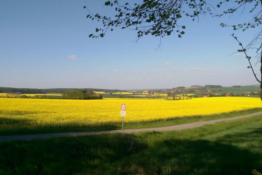für 4 Personen ca. 165 m² in Mardorf, Niedersachsen (Steinhuder Meer) - foto 20