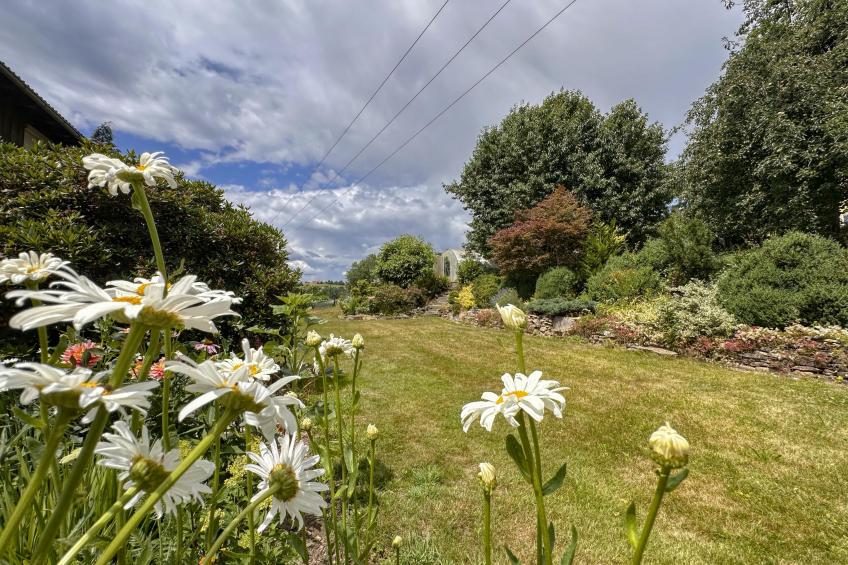 Zellner II - foto 21