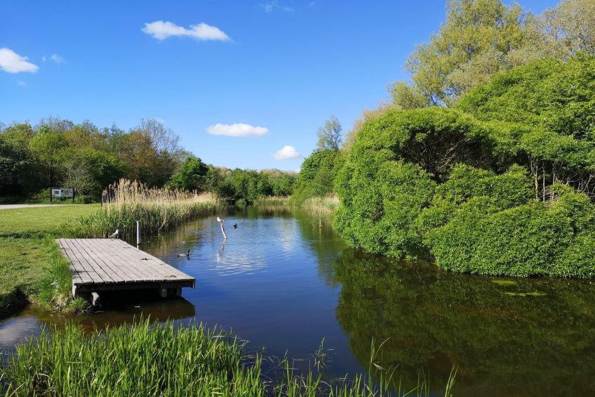 Jomfru Ane Premium Twin - foto 33