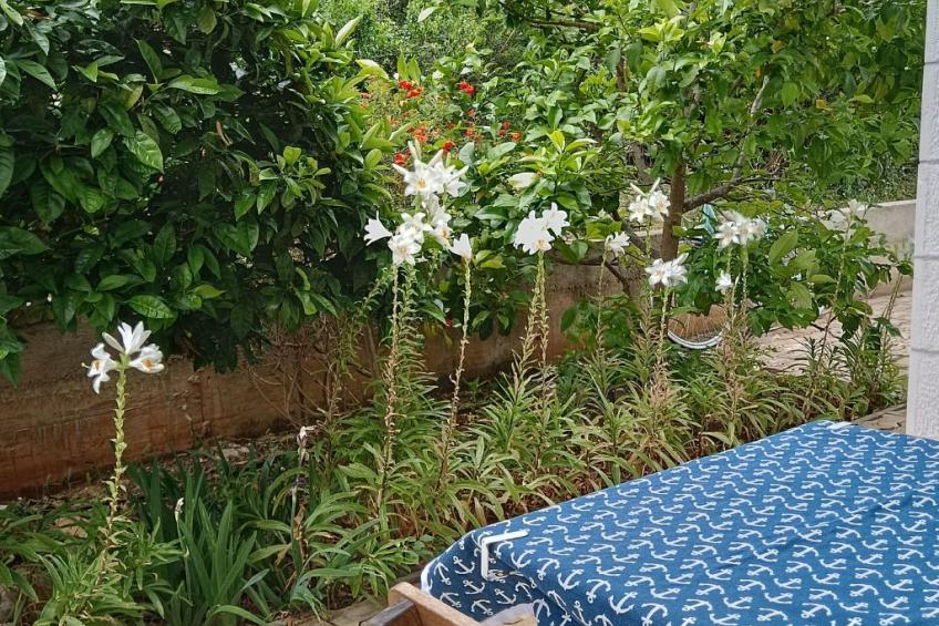 Wohnung mit Balkon - foto 3