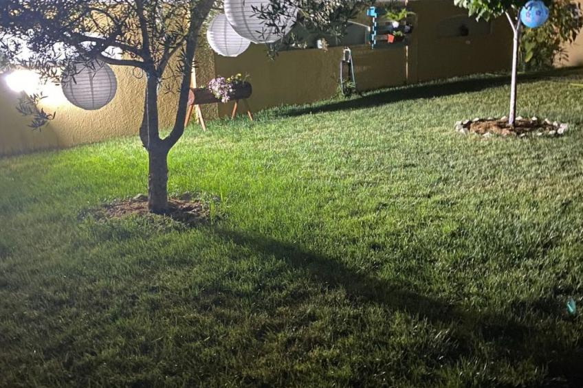 Kleines Paradies in der Nähe des portugiesischen Venedigs 1 - foto 22