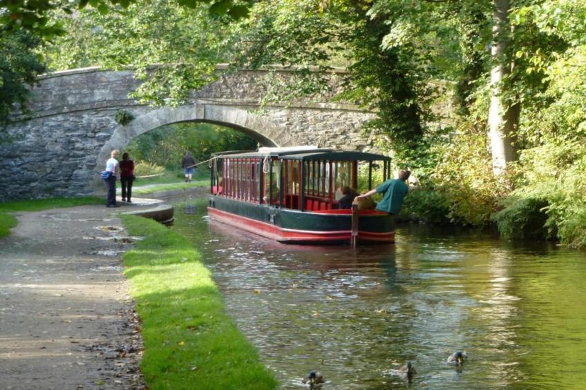 Eryri Magic - foto 28