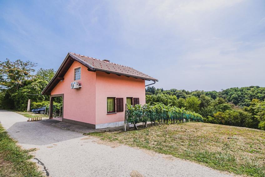 Harvest Horizon Holiday Home with Sauna - One Bedroom Holiday Home - foto 32