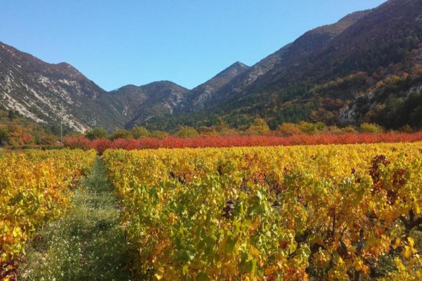 Villa Belle Suzette - foto 38