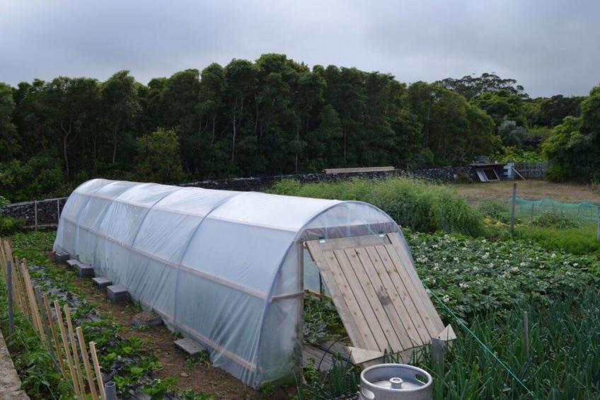 Das Haus der Weinkellerei - foto 18