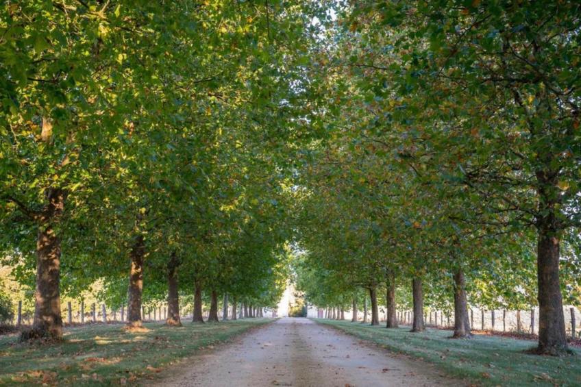 Maison de vacances - BRION - foto 31
