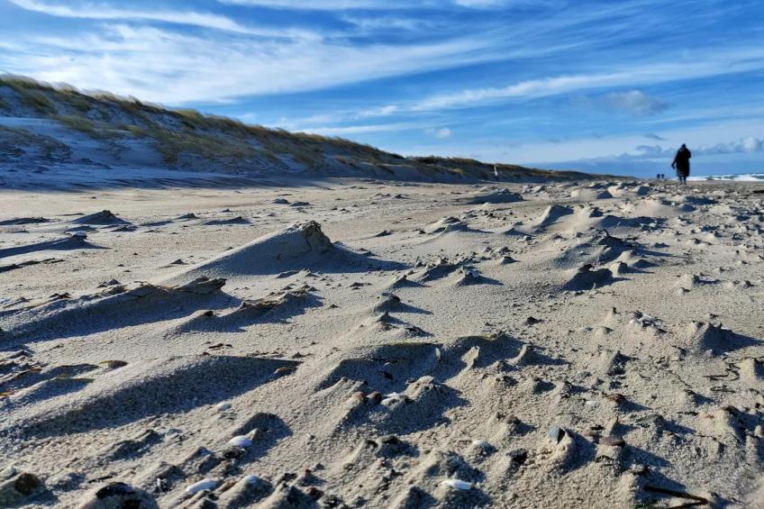 Ferienhaus Küstenwald klein - Strandhotel Fischland - foto 39