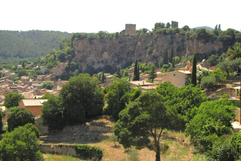 Le clos de la Tuf - foto 3