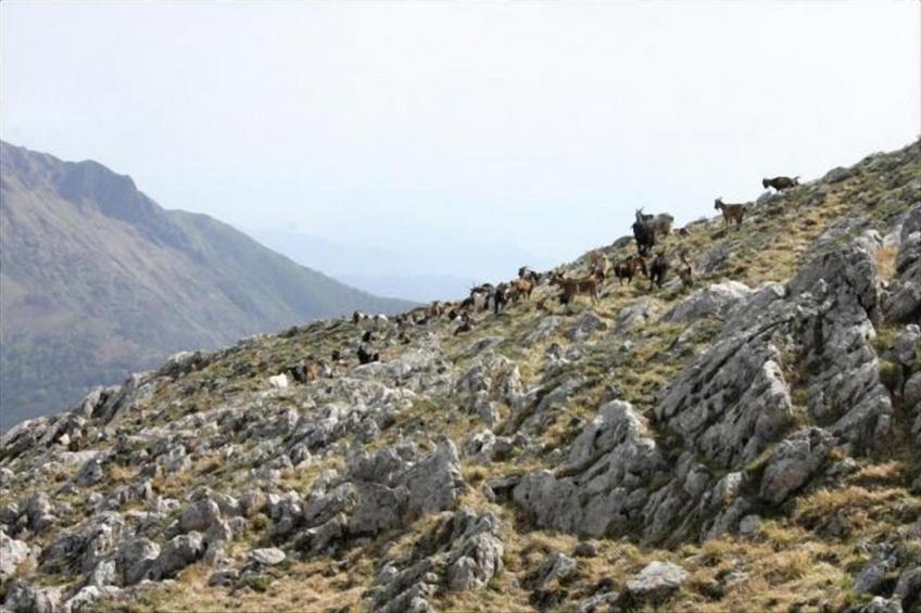 Casa Arena - foto 28