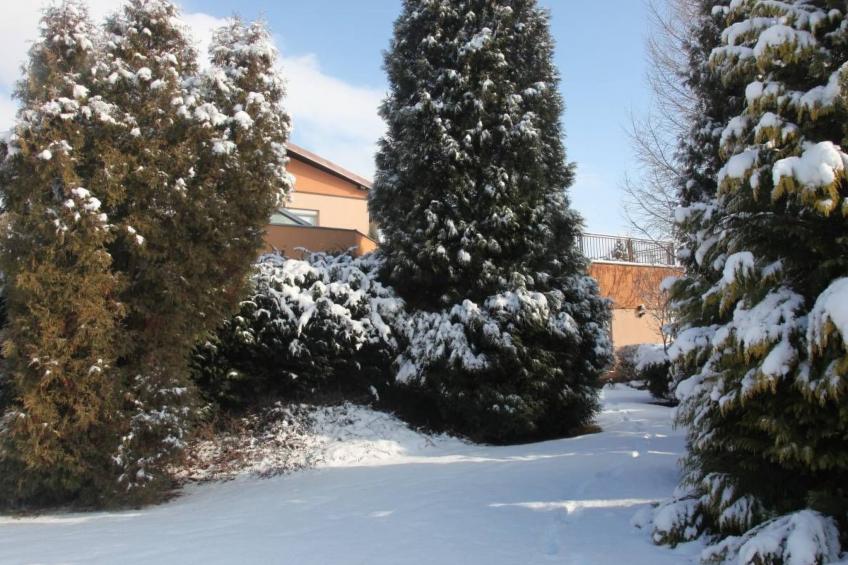 Pool-Wellness JOSKA - foto 27