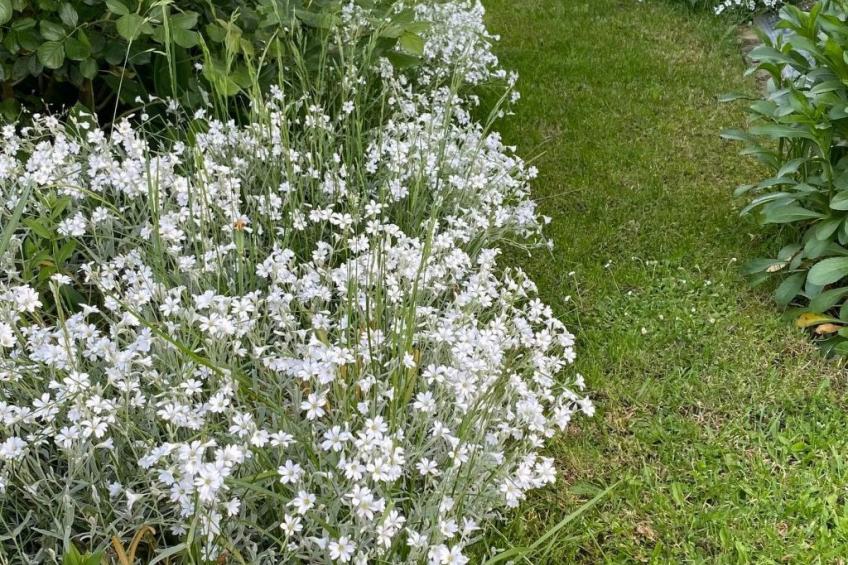 Auszeit Trittenheim - foto 15