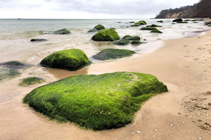 Haus Morgenstern - foto 12