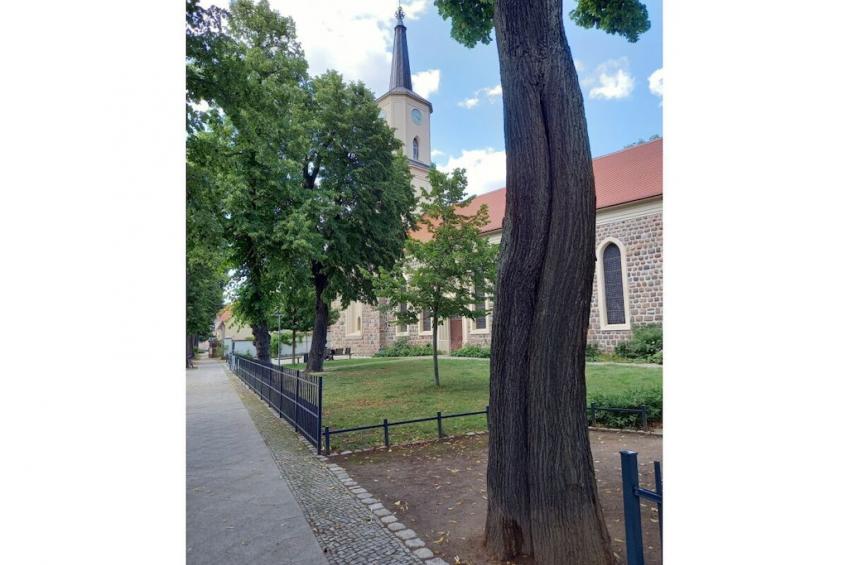 779596 - foto 34