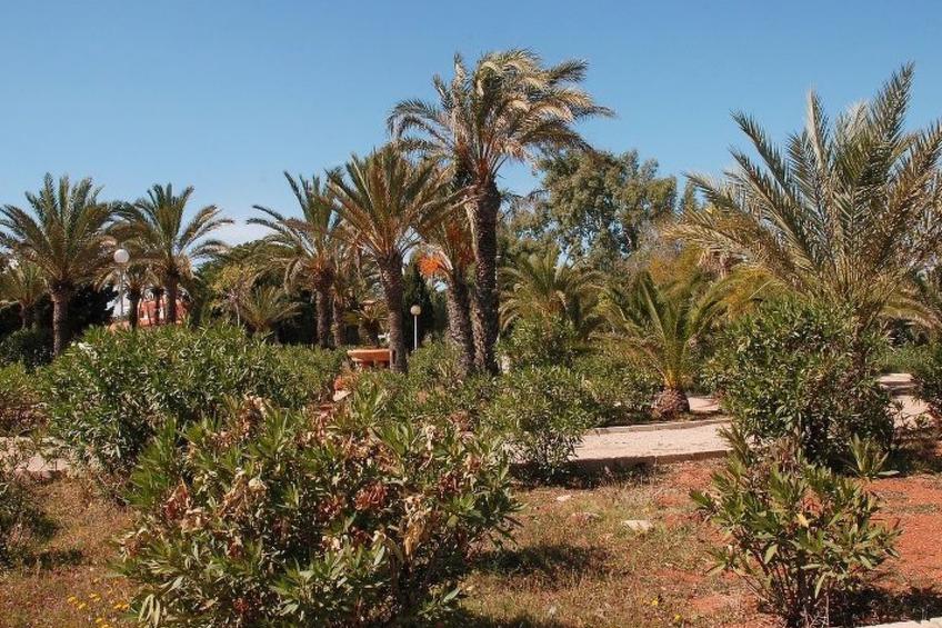 Violeta 17 - foto 138