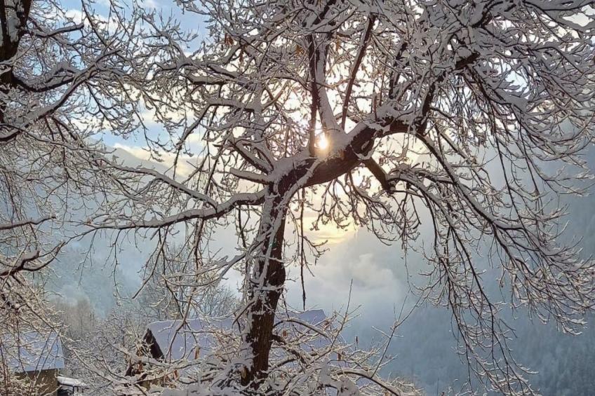 Rustico Raslina - foto 34