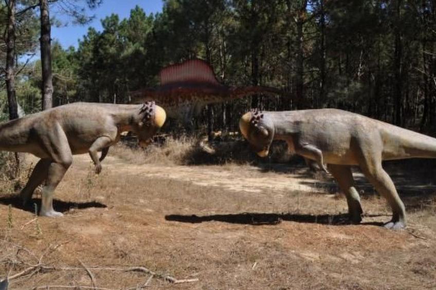 Moderne Villa mit privatem Pool und Meerblick - foto 37