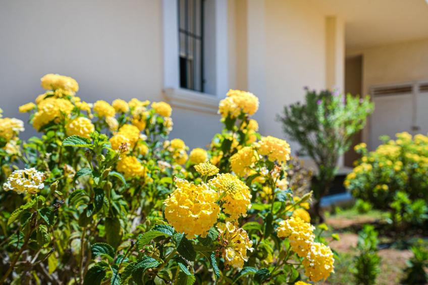 Casa Denia - foto 27