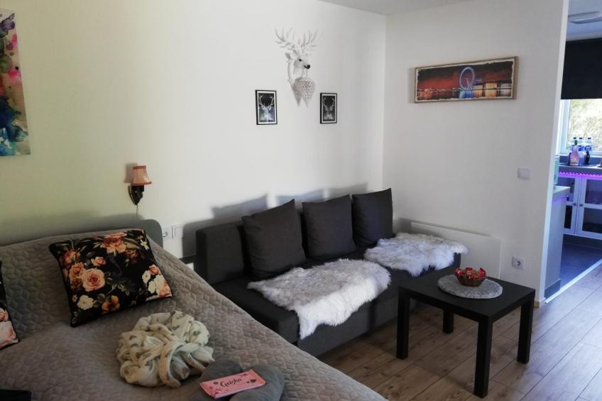 Apartment Melanie in Hovmantorp - foto 5