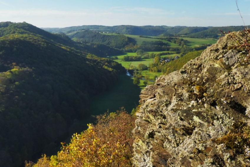 Chalet Wiedfluh in Waldbreitbach - foto 34