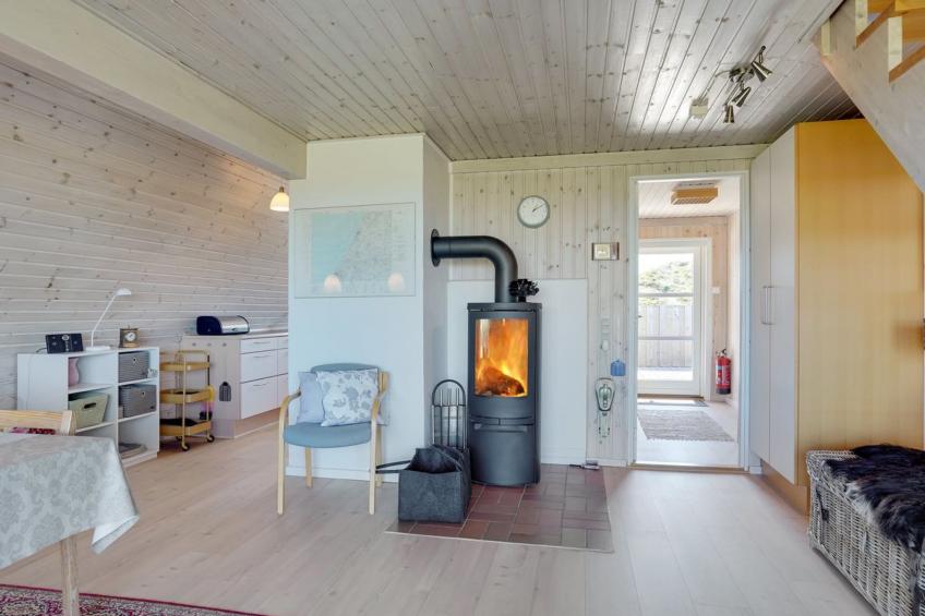 "Viona" - 350m from the sea in NW Jutland - foto 3