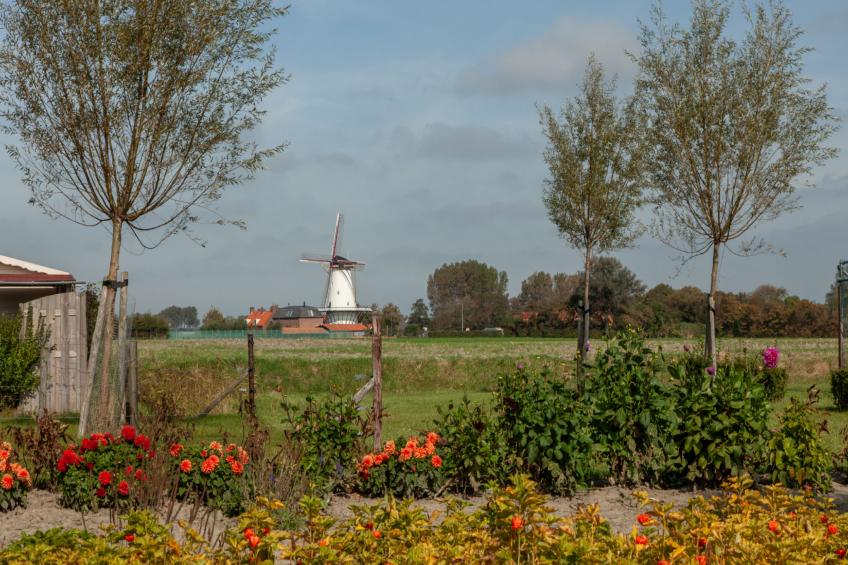 'T Bloemenhof Koudekerke - foto 5