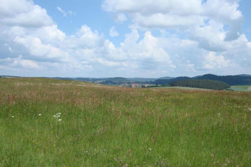Köster - foto 33
