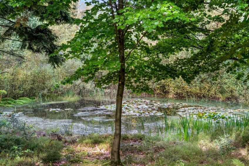 "Vicente" - 14km to the inlet - foto 13