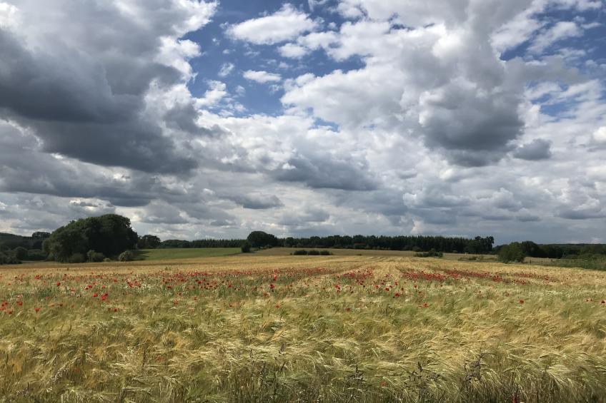 Casa Borlon - foto 35