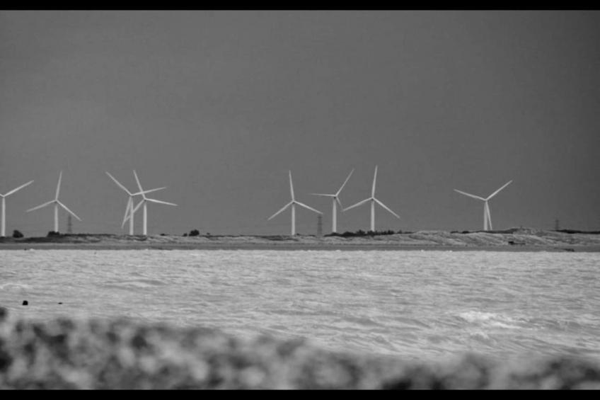 Rainbow Petty - foto 24