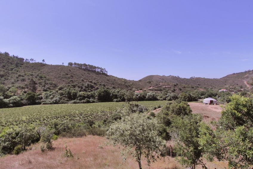 Romantisch und einzigartig "Das Bambus-Apartment - foto 28