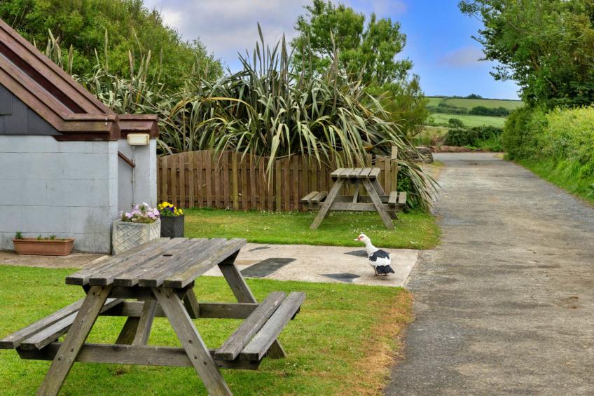Squire, Quinceborough Farm - foto 22