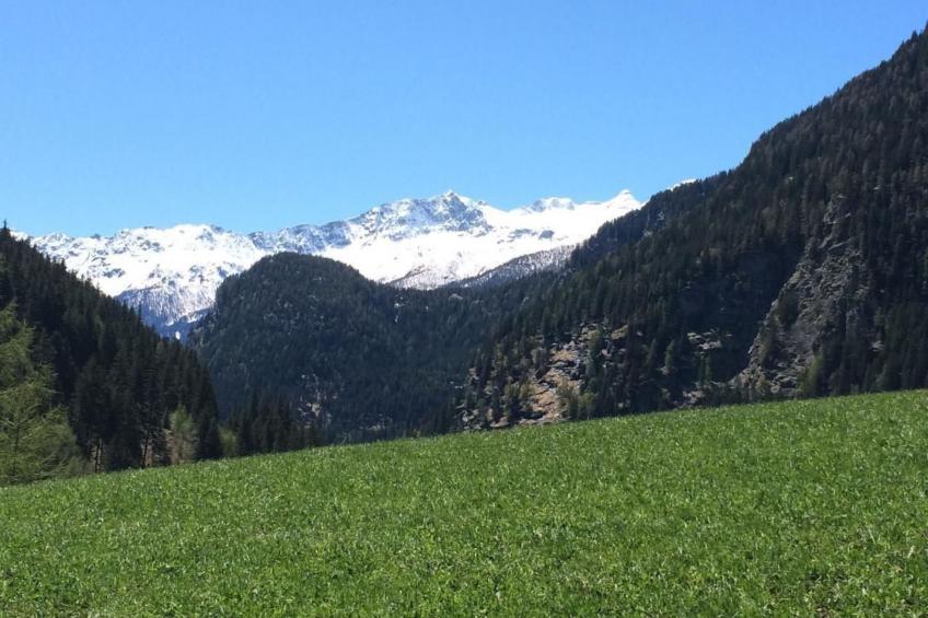 Charmantes 3.5 Zi Rustico - foto 18