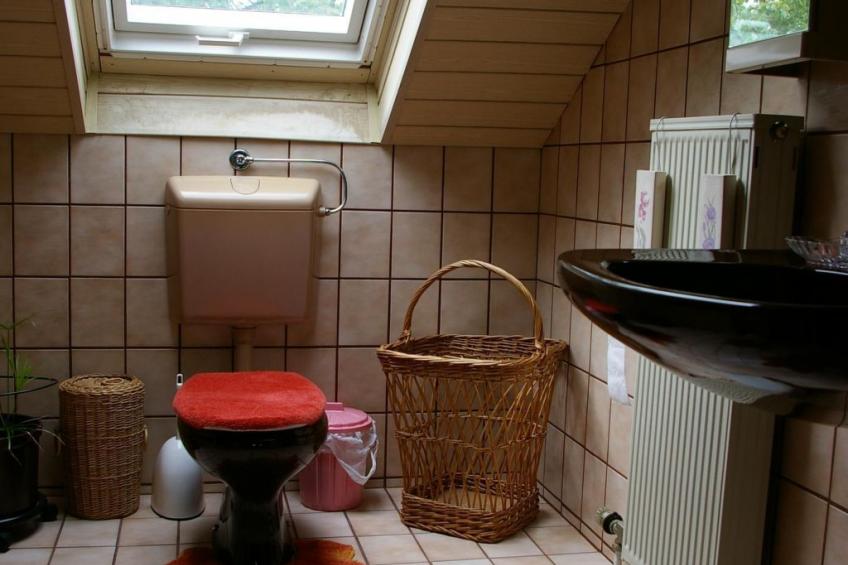 Komfortable Ferienwohnung in Waldnähe - foto 9