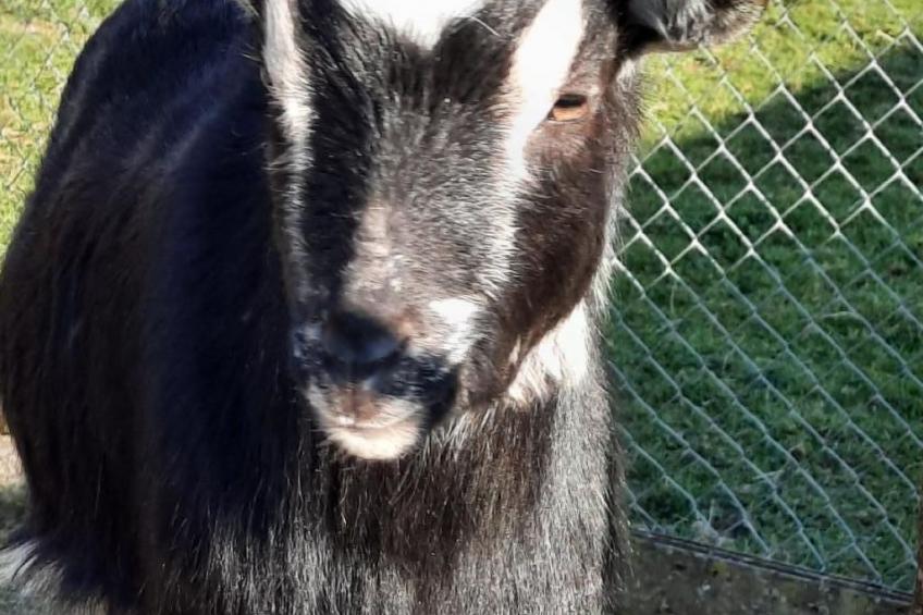 Haslers Hof - foto 25