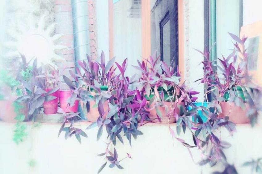 Résidence St Vincent - foto 28