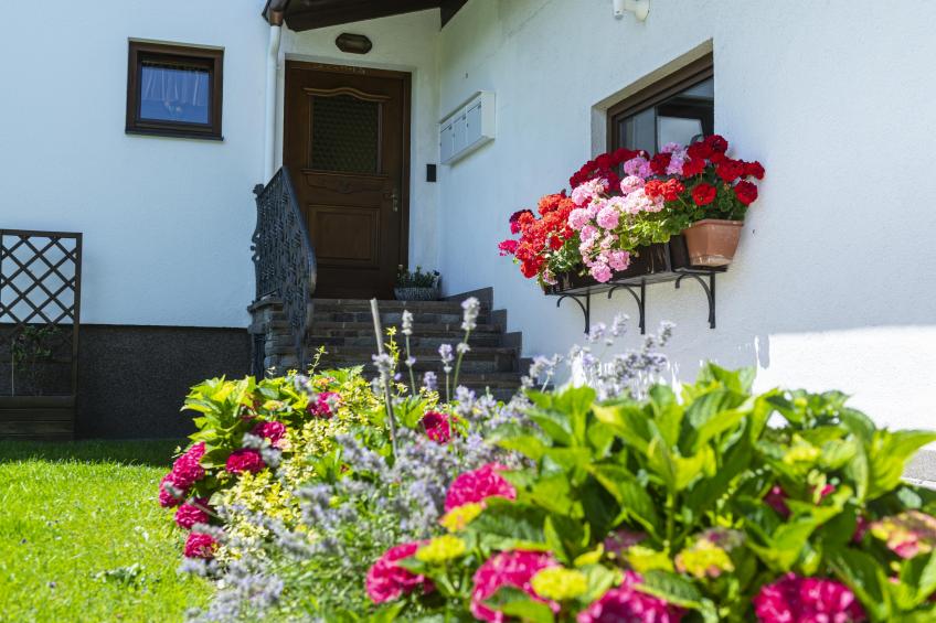 Bei Steiner - foto 28