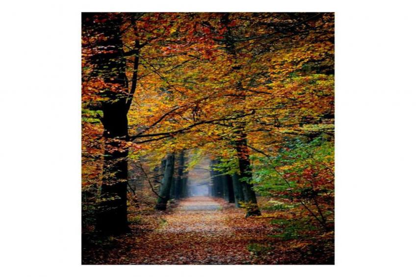 RCN de Jagerstee 3 - foto 26