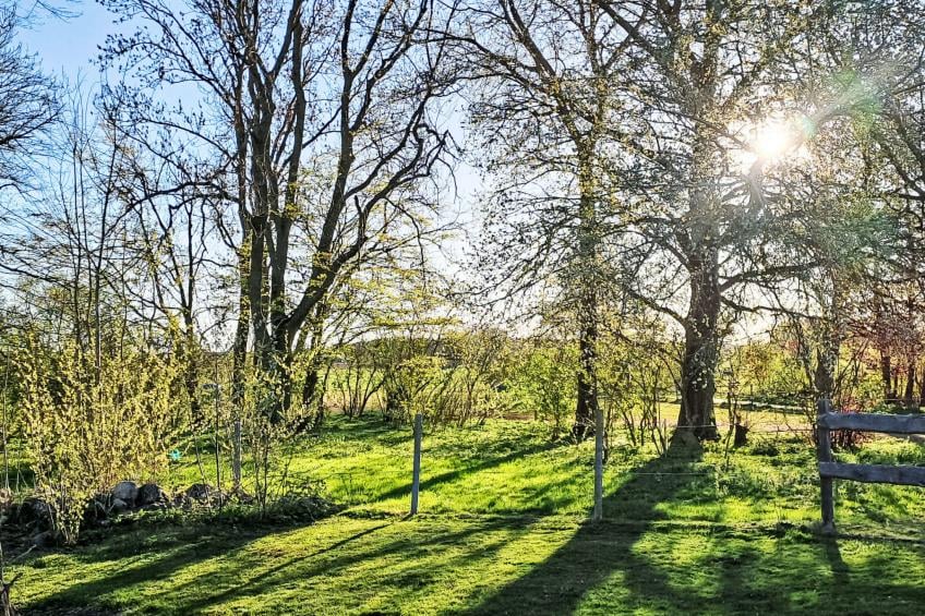 Schlönis Koppelblick - foto 30
