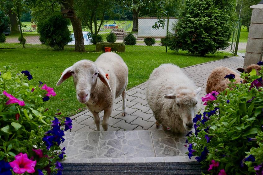 mit Terrasse - foto 40