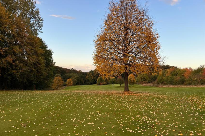 Mercure Hotel - Standard King Room - foto 32