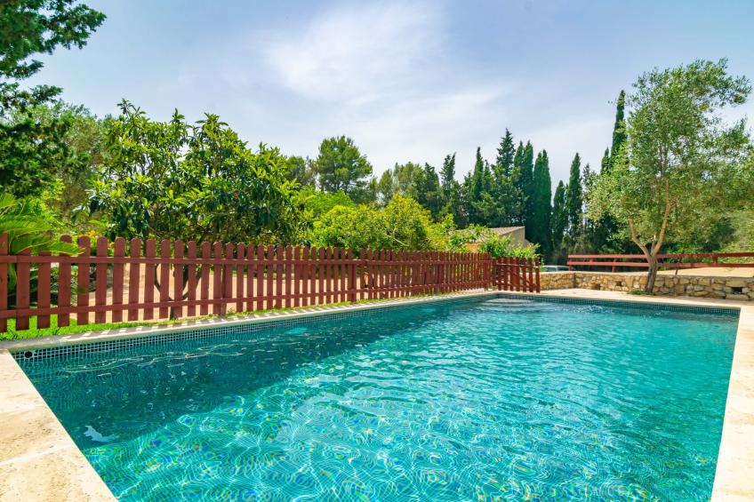 Sa Tortugueta - foto 35