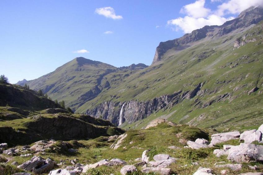 Chez Dominique - foto 30