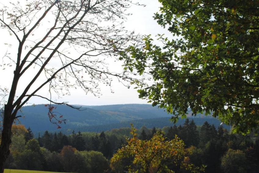 Haus Finger - foto 36