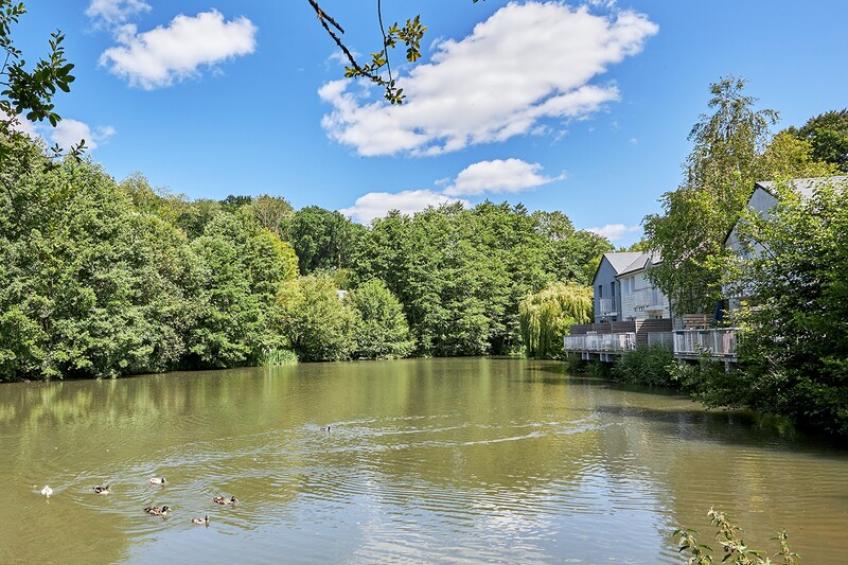 Normandy Garden 2/3p 6 - foto 33