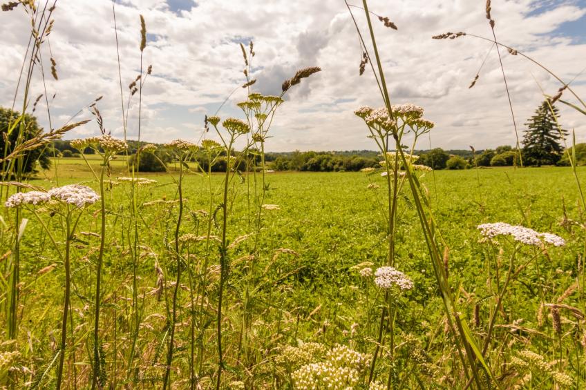 Mas d'Arneix - foto 26