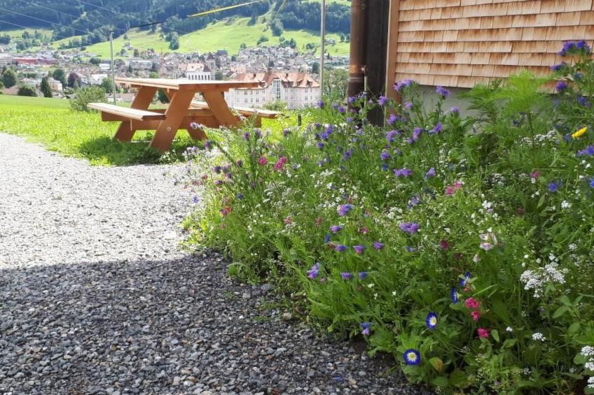 Haus Lauften - foto 2