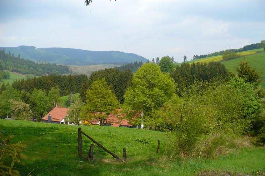 Murmeltier - foto 27