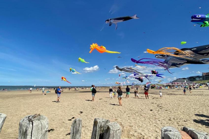 Beach Resort Nieuwvliet-Bad 18 - foto 30