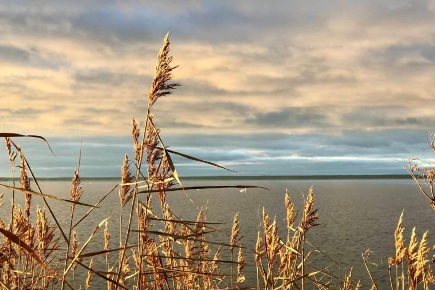 Wiesenblick 5 - foto 31