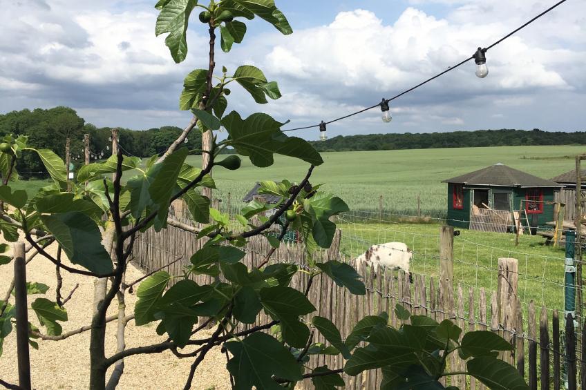 Logeren bij Laura - foto 35